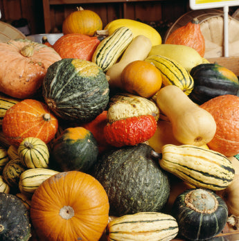 Apricot, Almond, Sausage Stuffing